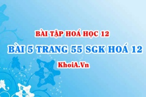 Bài 5 trang 55 SGK Hoá 12: Nội dung về Peptit và Protein